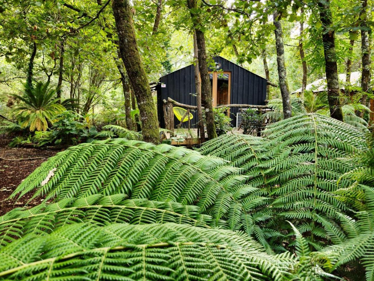Camping Aux Couleurs Du Ferret Lège-Cap-Ferret Exterior foto