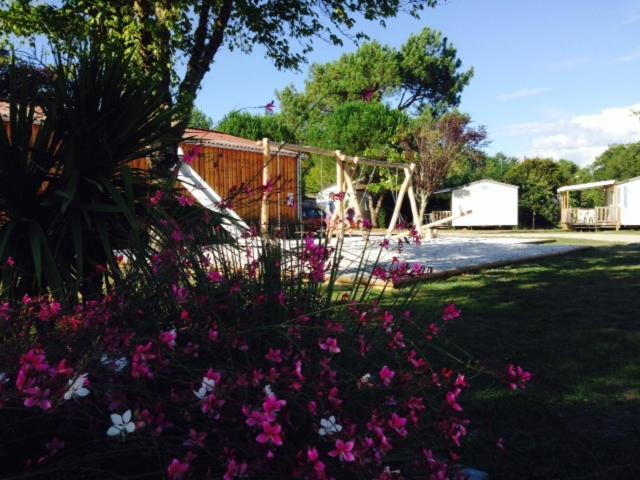 Camping Aux Couleurs Du Ferret Lège-Cap-Ferret Exterior foto